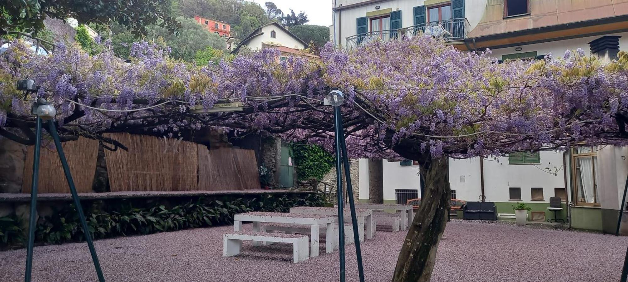 Hotel Residence Moneglia Bagian luar foto